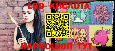 гашик Славгород