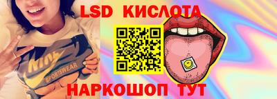 ПСИЛОЦИБИНОВЫЕ ГРИБЫ Сланцы