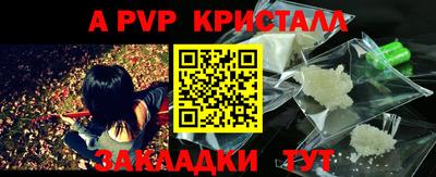 гашик Славгород